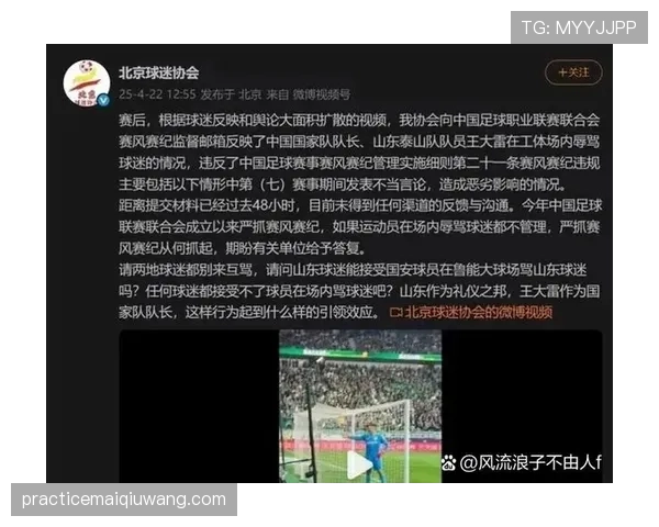 裁判尺度对犯规判罚标准的影响及其在比赛中的应用解析 裁判尺度对犯规判罚标准的影响及其在比赛中的应用解析
